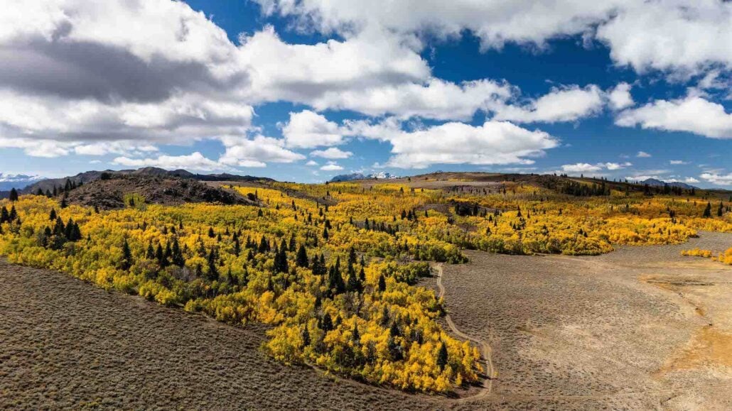 10 4 25 monitor pass #5 pano cmprsd