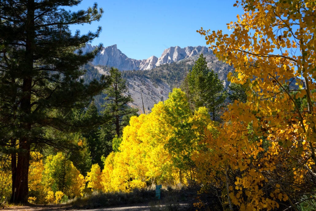 10 6 25 fallcolors leeviningcanyon kimespinosa 025