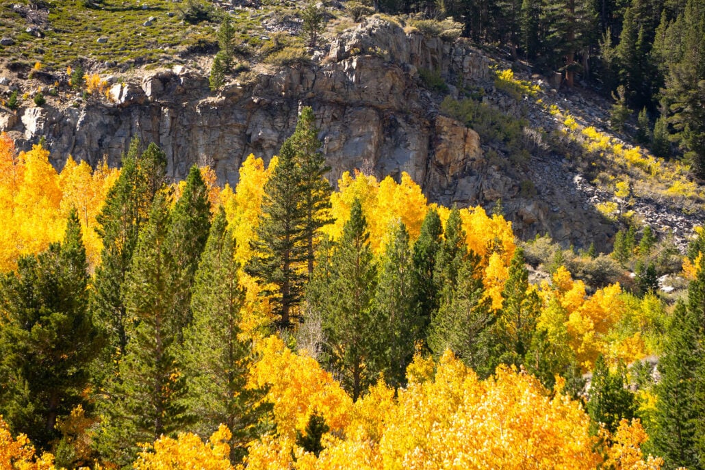 10 6 25 fallcolors tioga kimespinosa 028