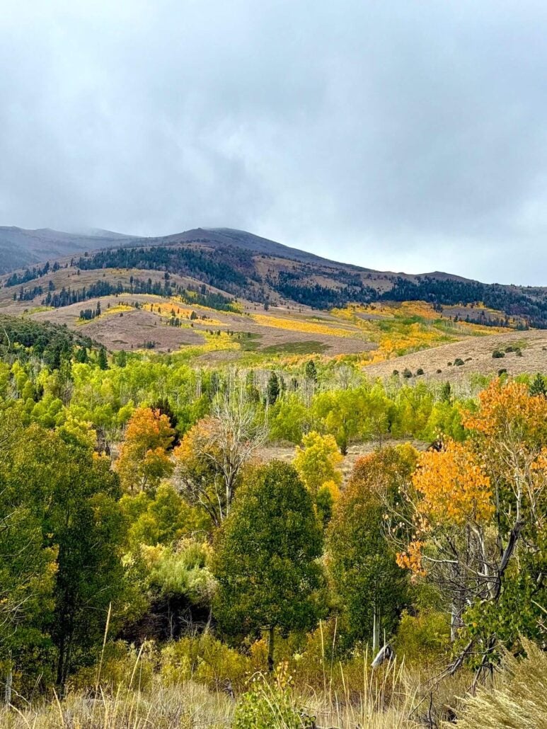 10.01.25 upper summer meadows road carlson, mono county tourism 15 1