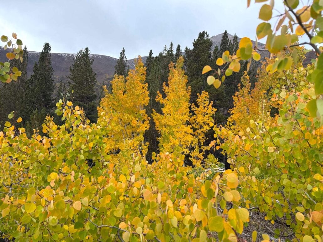 10.01.25 virginia lakes amanda carlson, mono county tourism 9