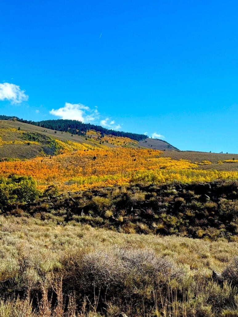 10.06.25 lobdell road amanda carlson, mono county tourism 13