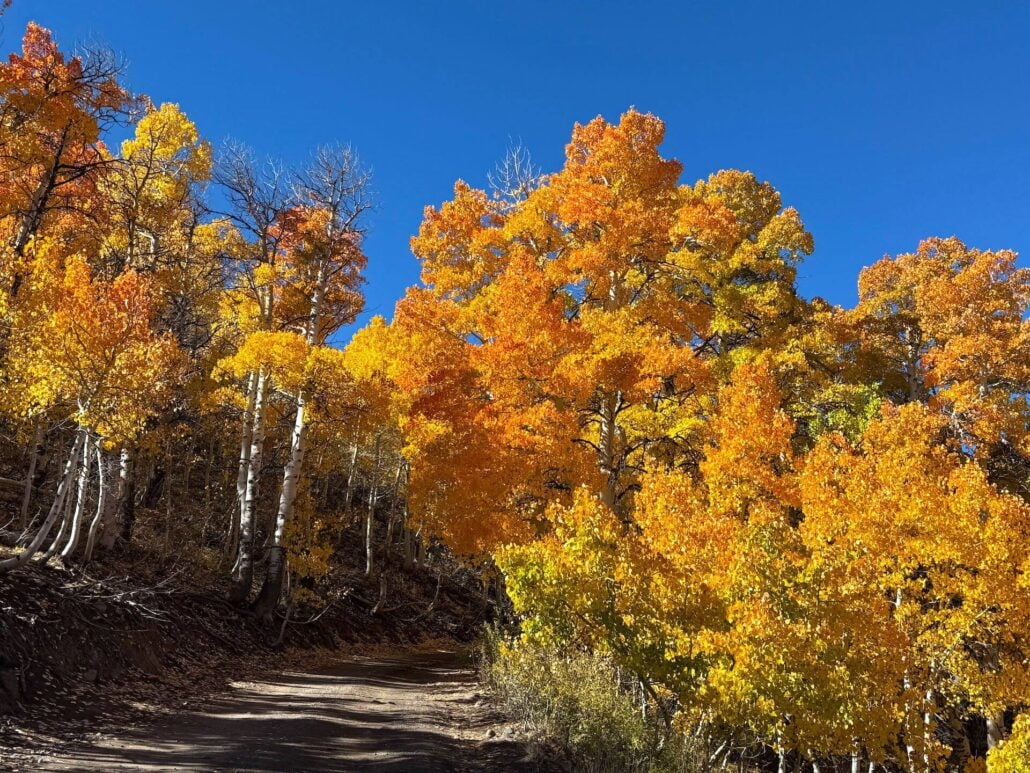 10.06.25 lobdell road amanda carlson, mono county tourism 6