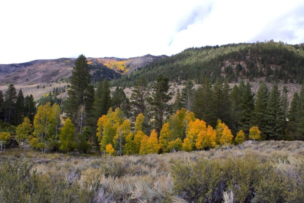 10.1.25 twin lakes sarah vardaro, mono county tourism 2
