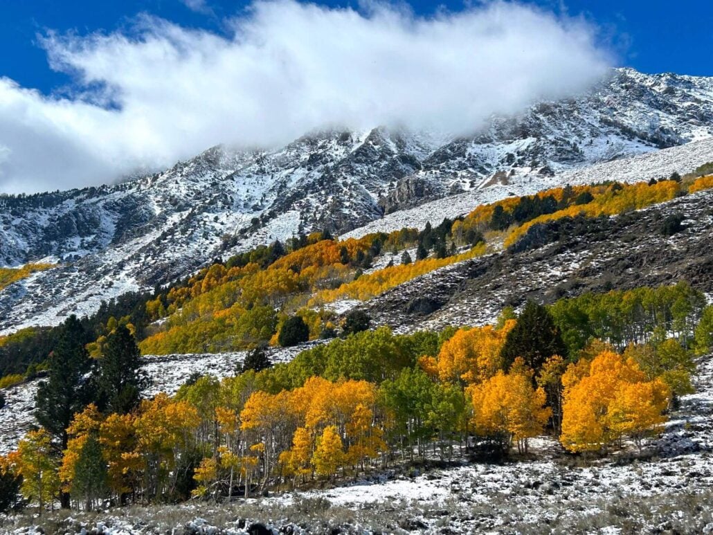 10.15.25 june lake loop liz grans, mono county tourism (1)