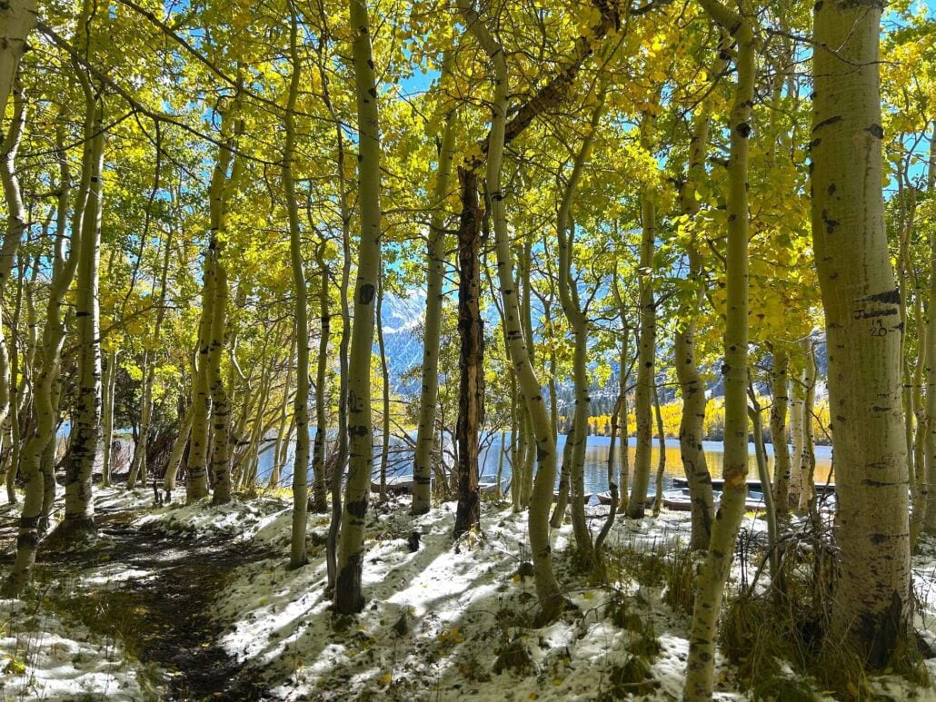 10.15.25 june lake loop liz grans, mono county tourism