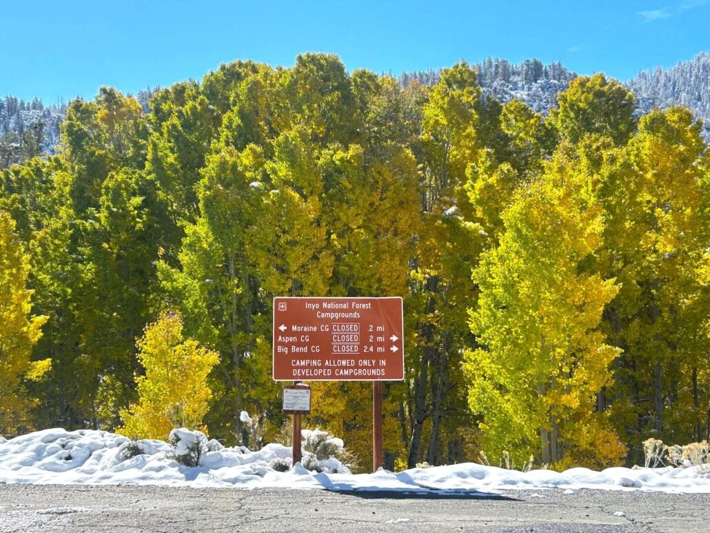10.15.25 lee vining canyon liz grans, mono county tourism