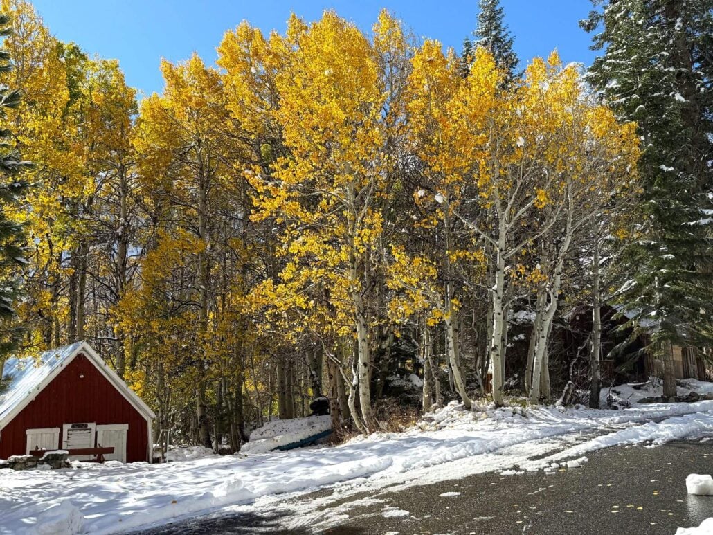 10.15.25 lundy amanda carlson, mono county tourism 7