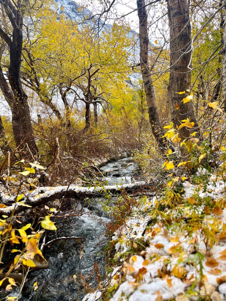 10.15.25 mcgee creek emily bryant, mono county tourism 10