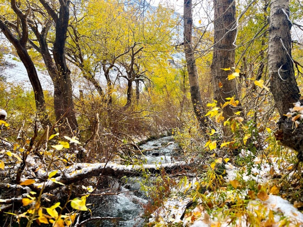 10.15.25 mcgee creek emily bryant, mono county tourism 11