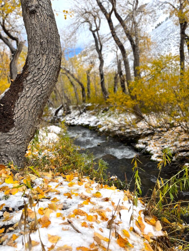 10.15.25 mcgee creek emily bryant, mono county tourism 8