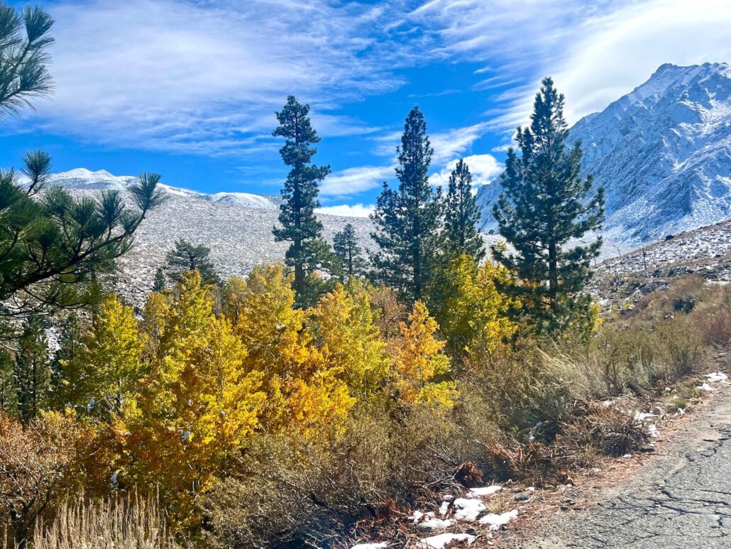 10.15.25 mcgee creek rd emily bryant, mono county tourism 4