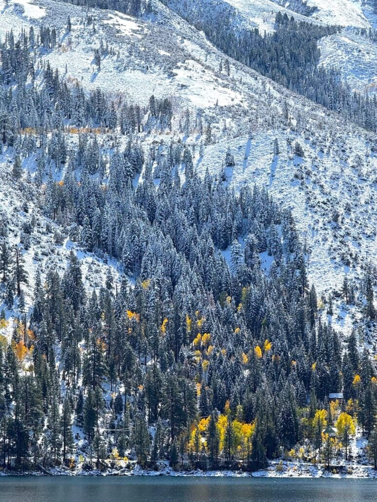 10.15.25 twin lakes, bridgeport amanda carlson, mono county tourism 1
