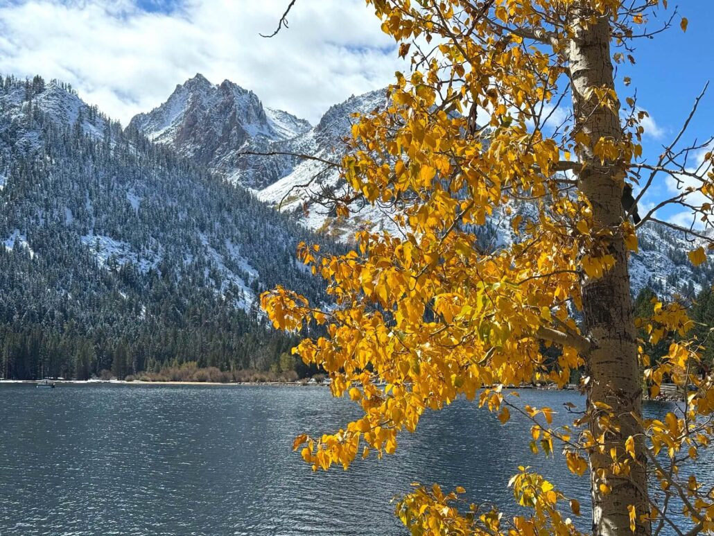 10.15.25 twin lakes, bridgeport amanda carlson, mono county tourism 10