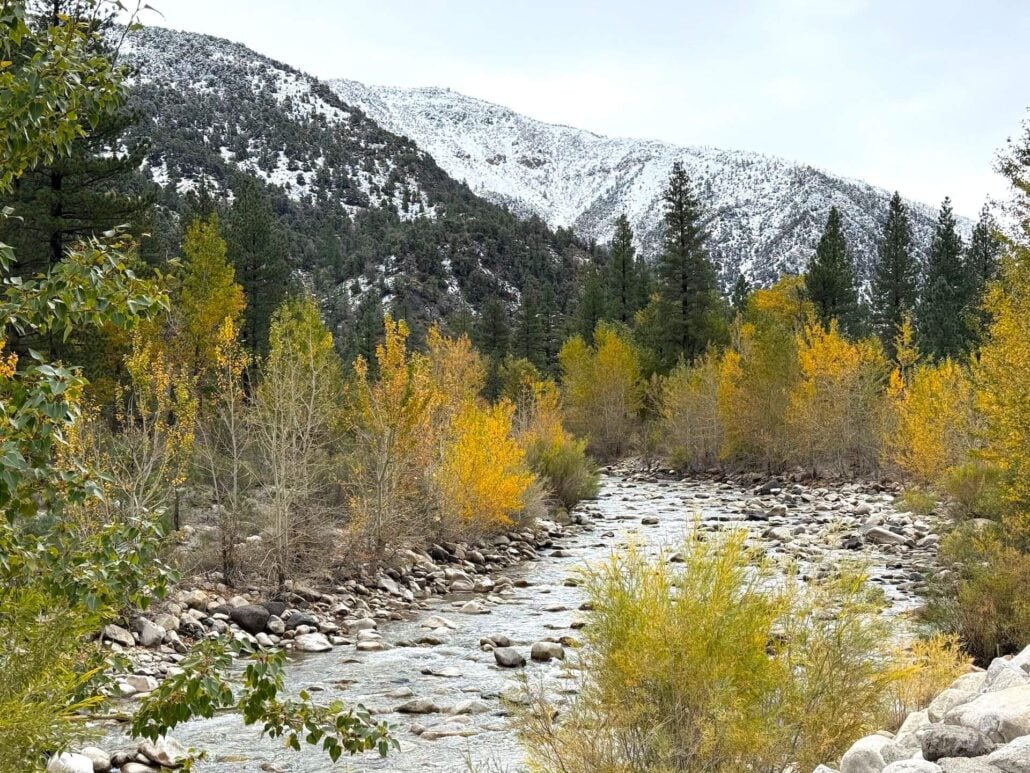 10.15.25 walker river amanda carlson, mono county tourism 1