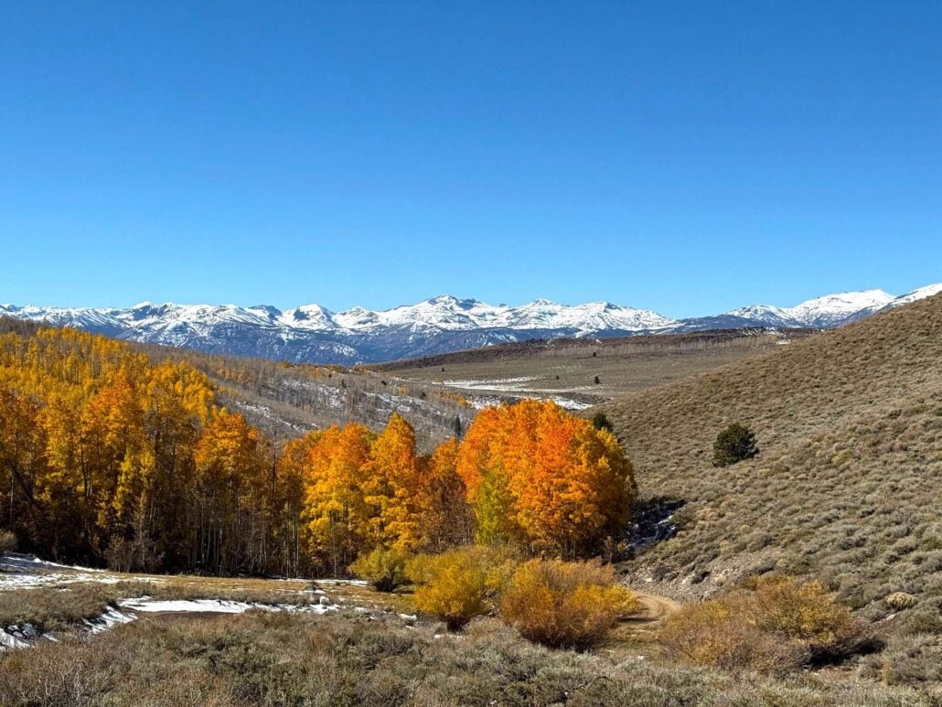 10.19.25 lobdell amanda carlson, mono county tourism 12
