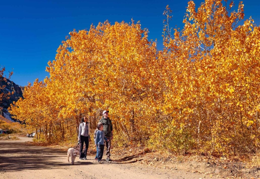 10.19.25 mcgee dakota snider mono county tourism