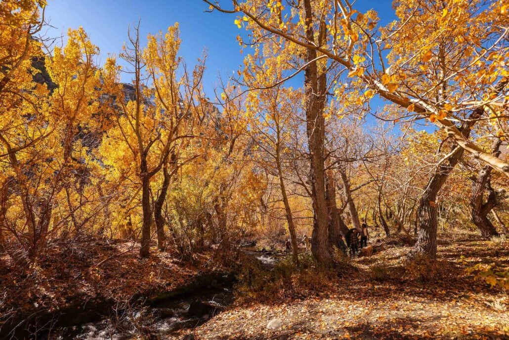 10.19.25 mcgee dakota snider mono county tourism 2