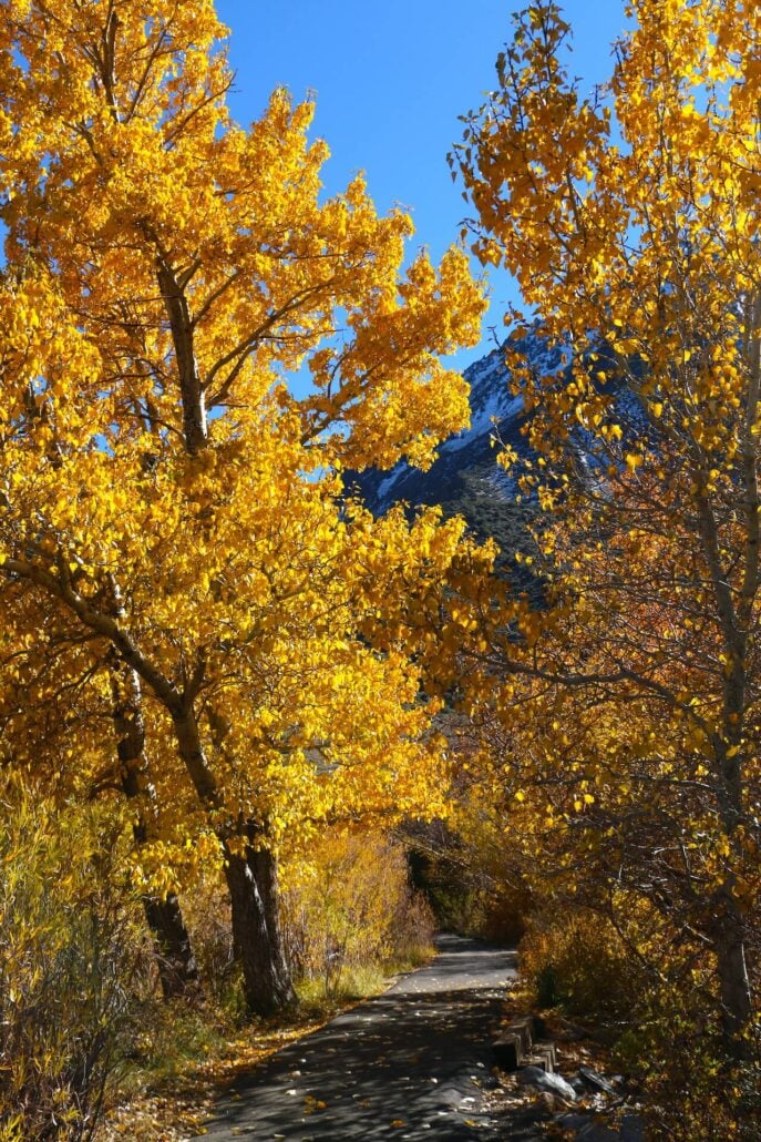 10.20.25 convict lake emily bryant, mono county tourism (18)