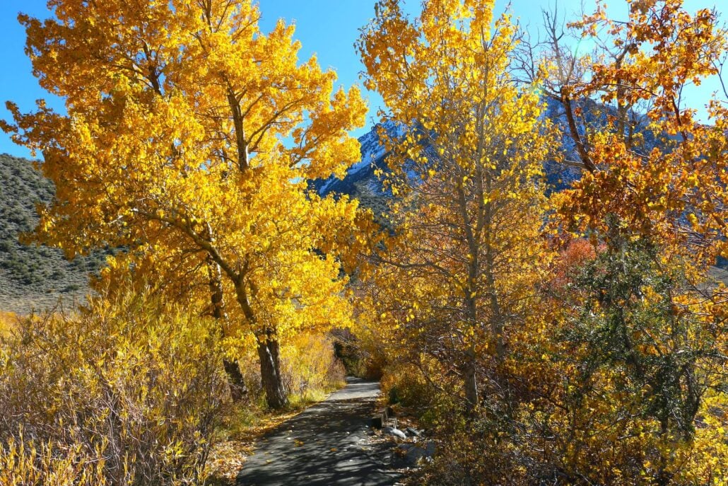10.20.25 convict lake emily bryant, mono county tourism (20)