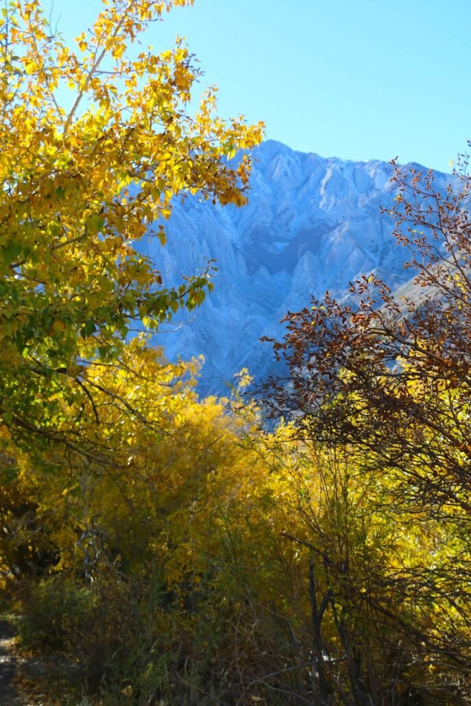 10.20.25 convict lake emily bryant, mono county tourism (28)