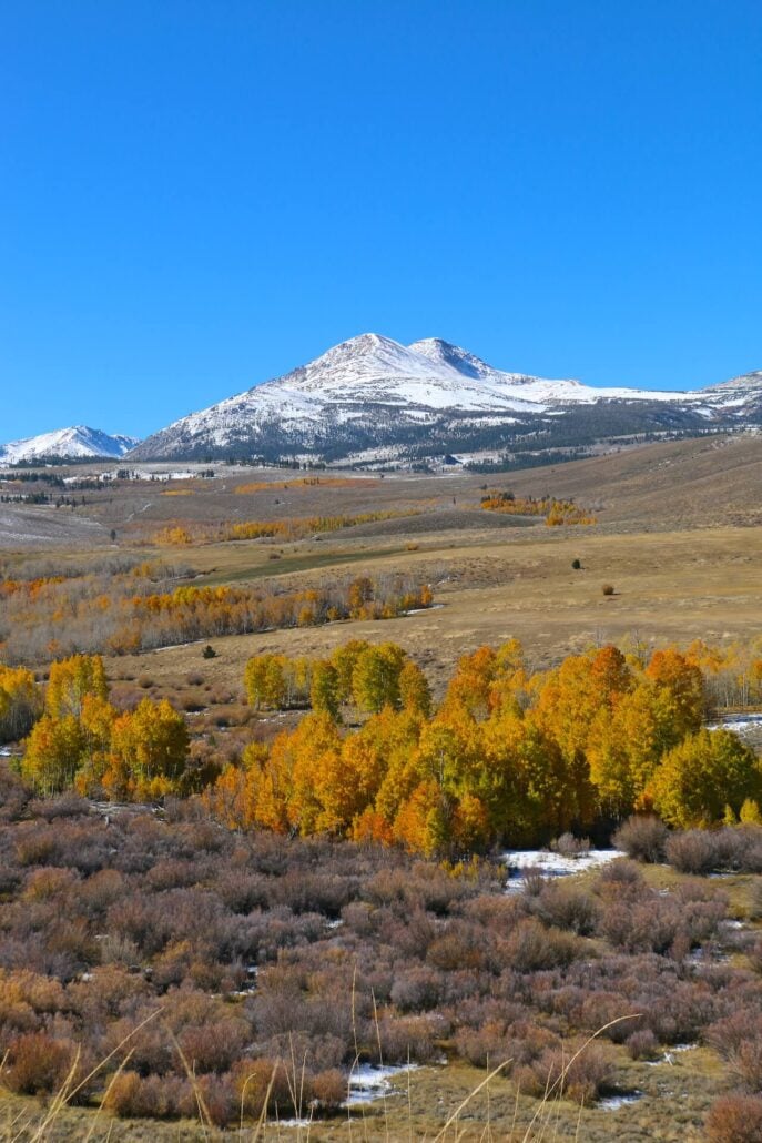 10.20.25 conway summit emily bryant, mono county tourism (10)