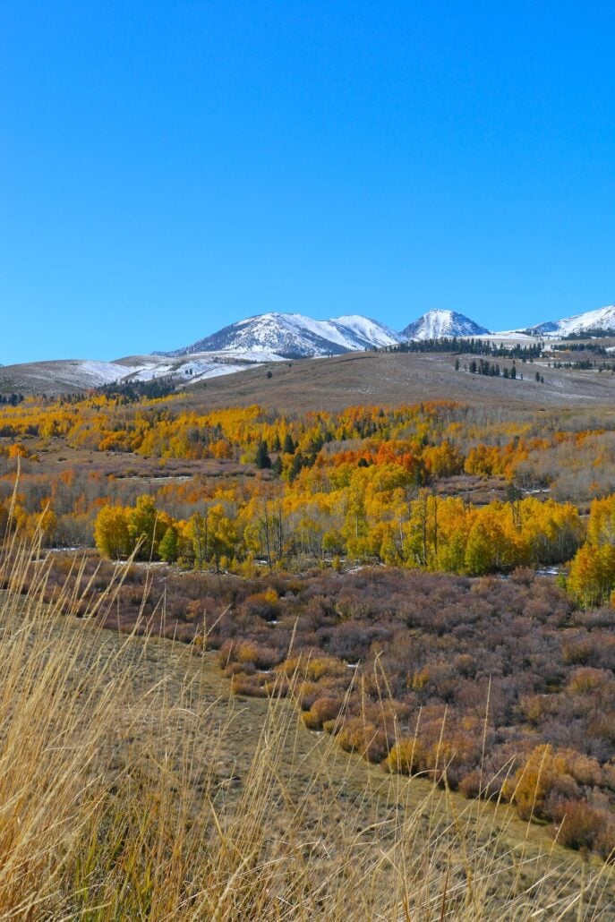 10.20.25 conway summit emily bryant, mono county tourism (11)