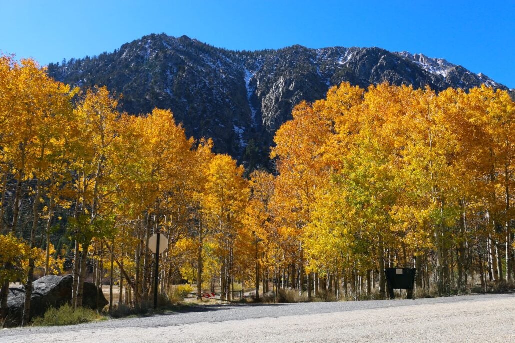 10.20.25 lee vining canyon emily bryant, mono county tourism (11)