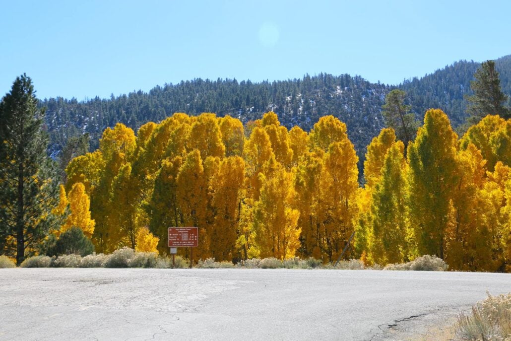 10.20.25 lee vining canyon emily bryant, mono county tourism (2)