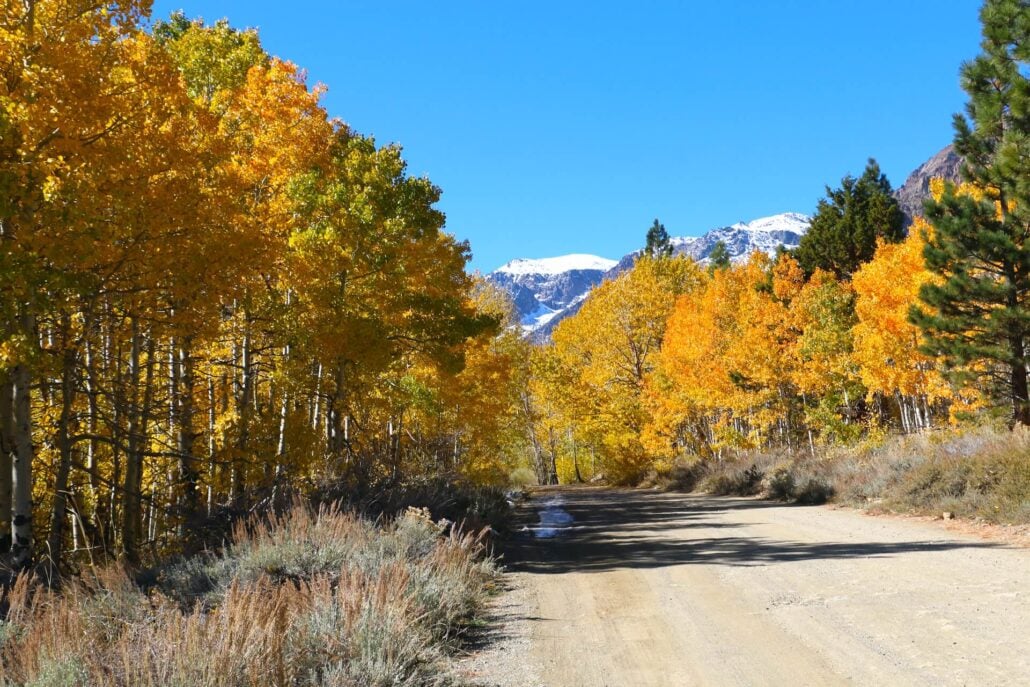 10.20.25 lundy canyon emily bryant, mono county tourism (1)