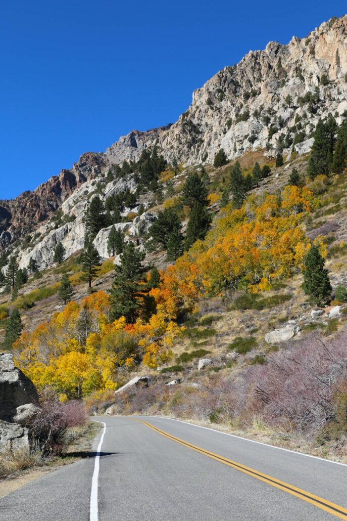10.20.25 lundy canyon emily bryant, mono county tourism (4)