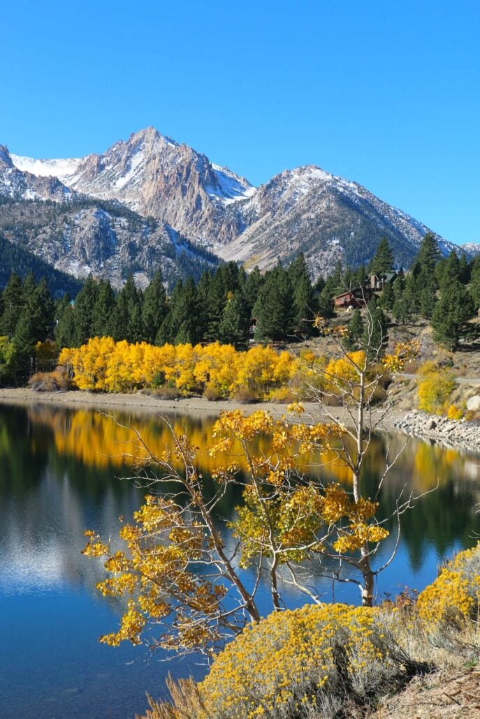 10.20.25 twin lakes bridgeport emily bryant, mono county tourism (13)