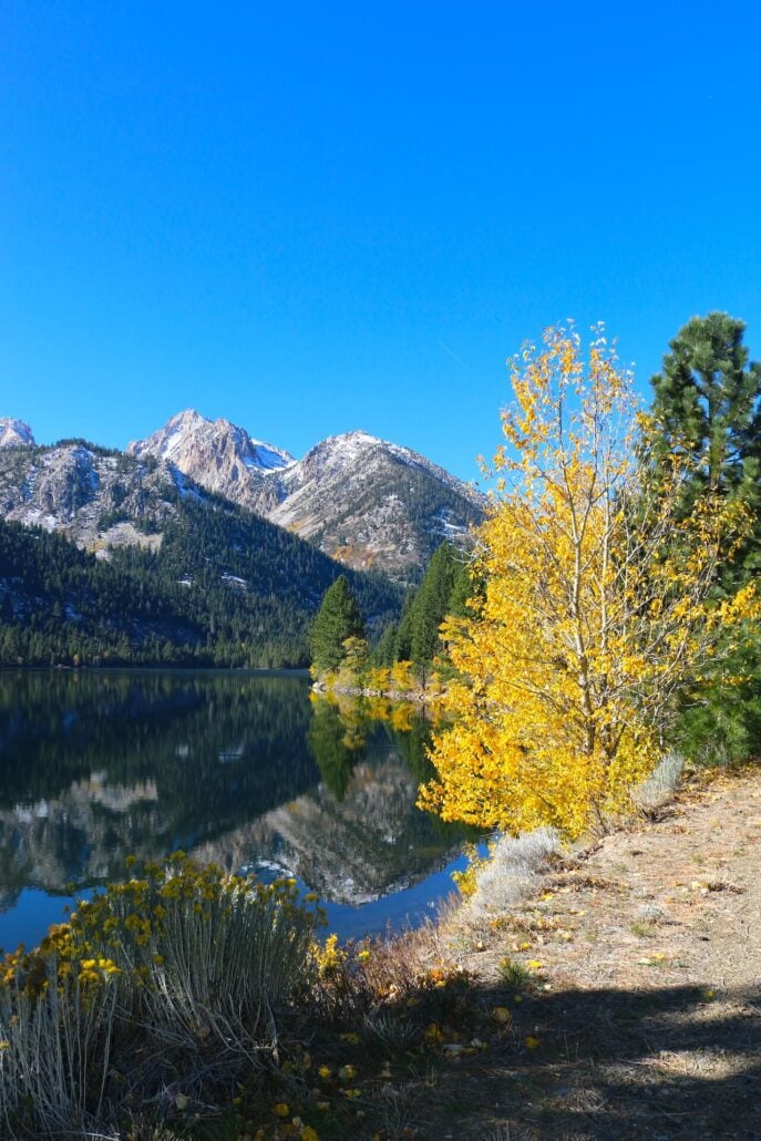 10.20.25 twin lakes bridgeport emily bryant, mono county tourism (6)