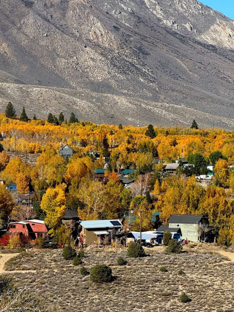 10.21.25 lower crowley lake community amanda carlson, mono county tourism 2