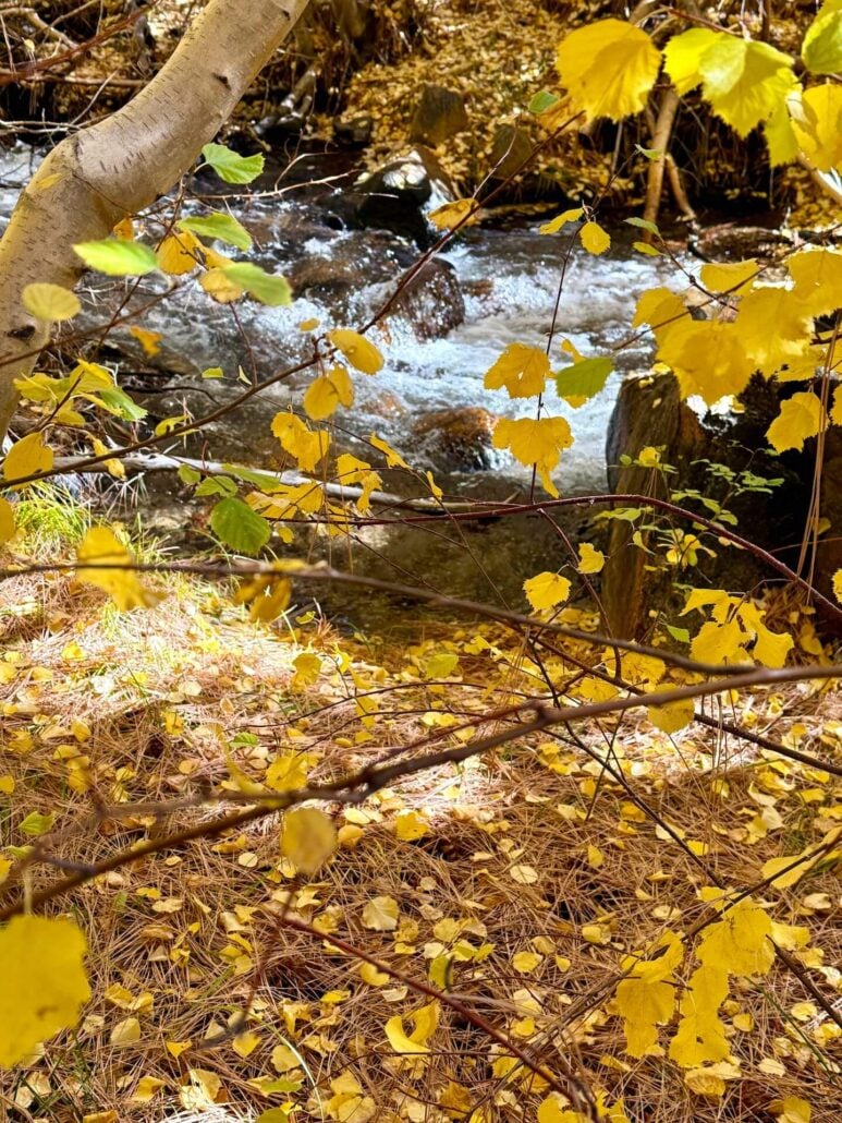 10.21.25 lower rock creek road amanda carlson, mono county tourism 1