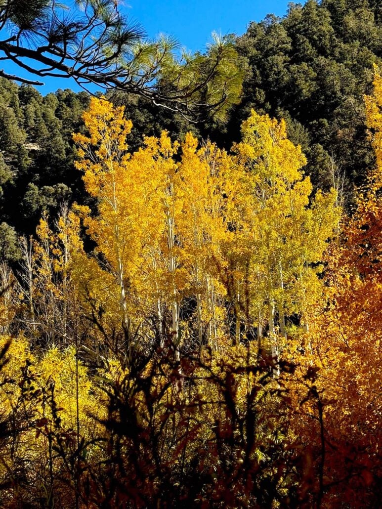 10.21.25 lower rock creek road amanda carlson, mono county tourisn 3