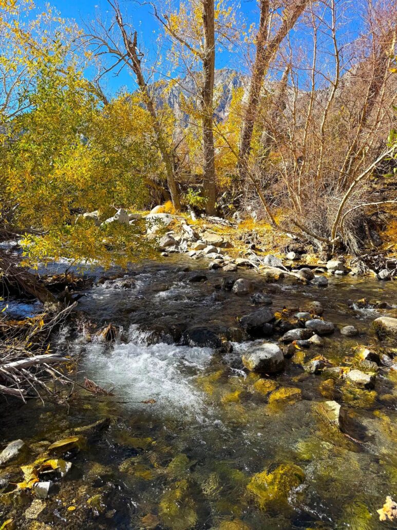 10.27.25 convict area amanda carlson, mono county tourism 7