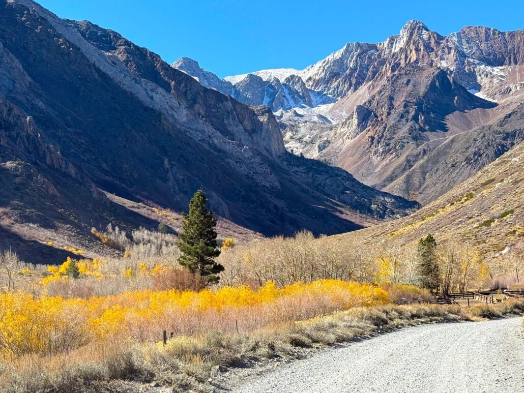 10.27.25 mcgee amanda carlson, mono county tourism 6