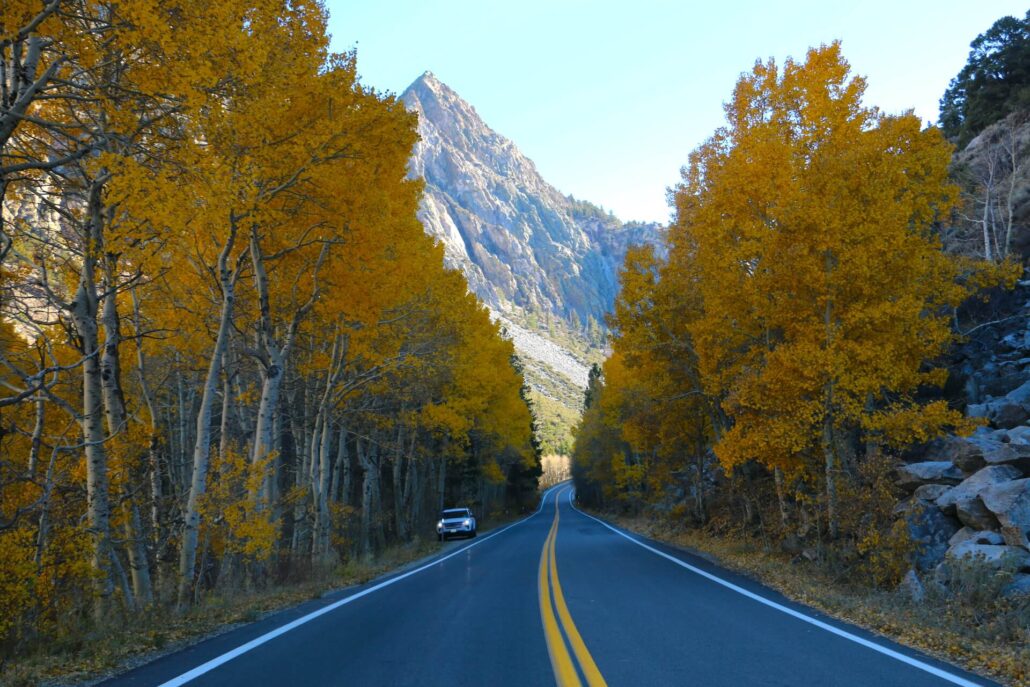 10.27.25 silver lake emily bryant 2