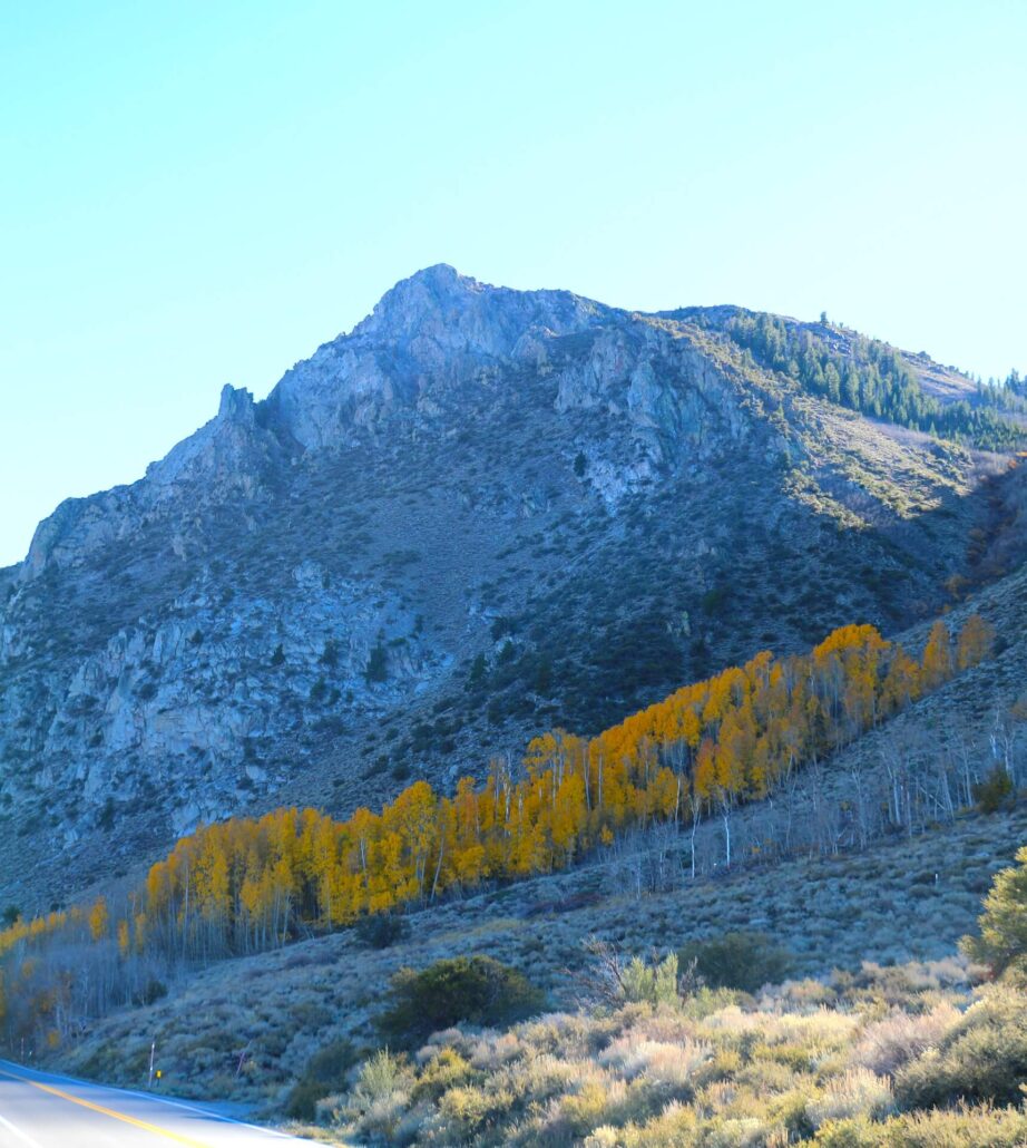 10.27.25 silver lake emily bryant 5