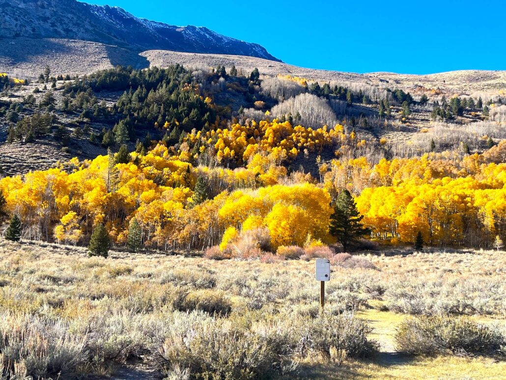 10.27.25 silver lake emily bryant, mono county tourism 11