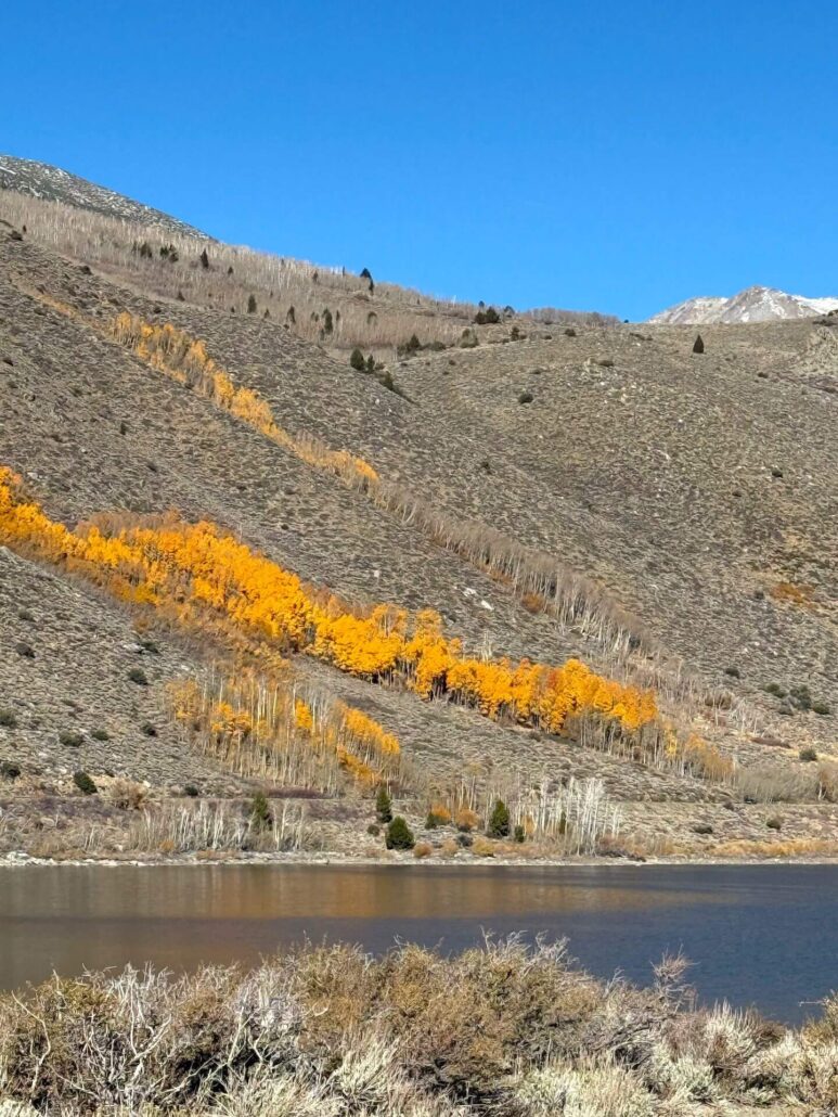 10.28.25 june lake loop amanda carlson, mono county tourism 1