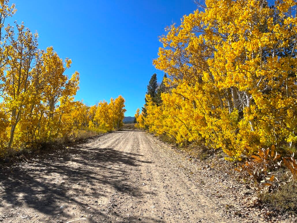 10.6.25 dunderberg meadow road emily bryant, mono county tourism 6