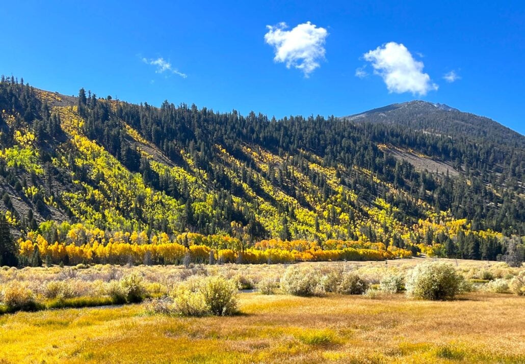 10.6.25 green creek emily bryant, mono county tourism 1