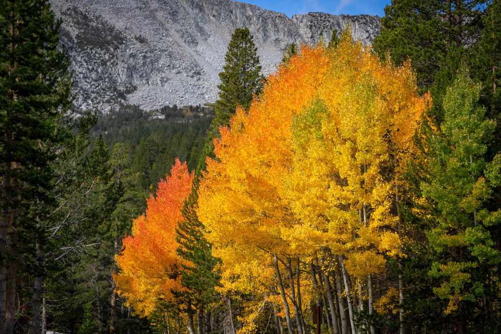 9 29 25 fallcolors rockcreeklake kimespinosa 044
