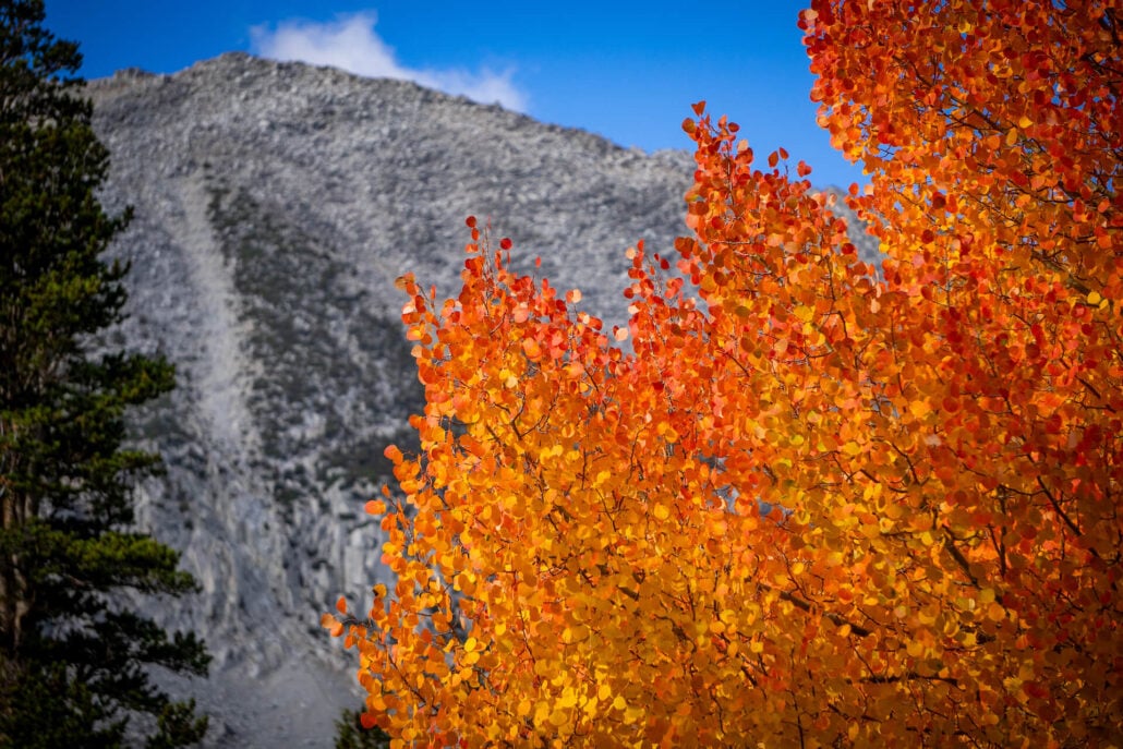 9 29 25 fallcolors rockcreeklake kimespinosa 054