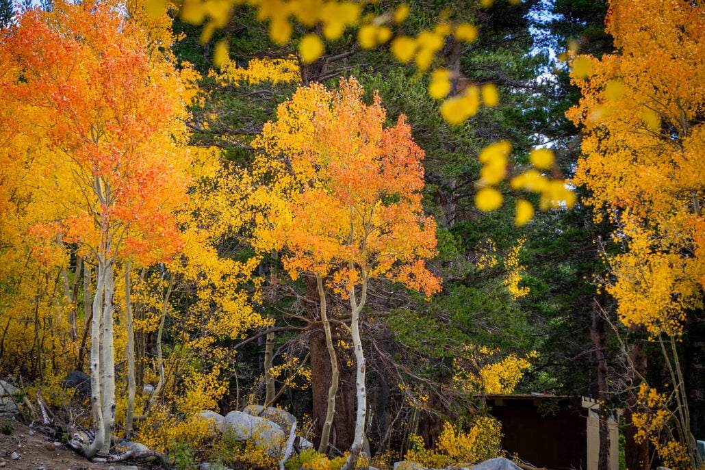 9 29 25 fallcolors rockcreeklake kimespinosa 059