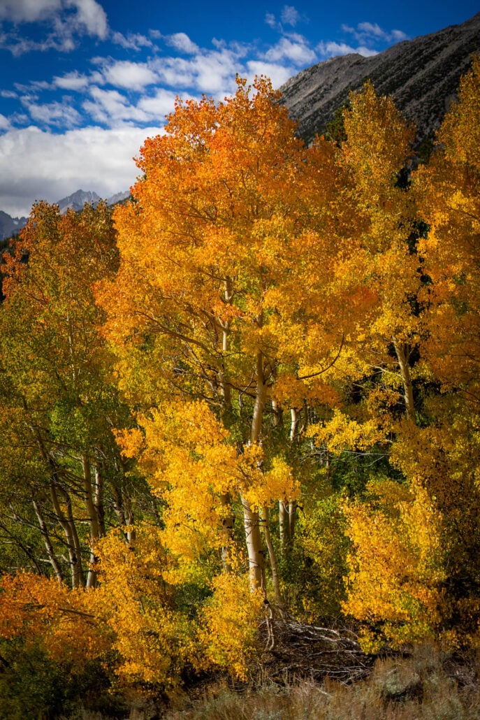 9 29 25 fallcolors rockcreeklake kimespinosa 095