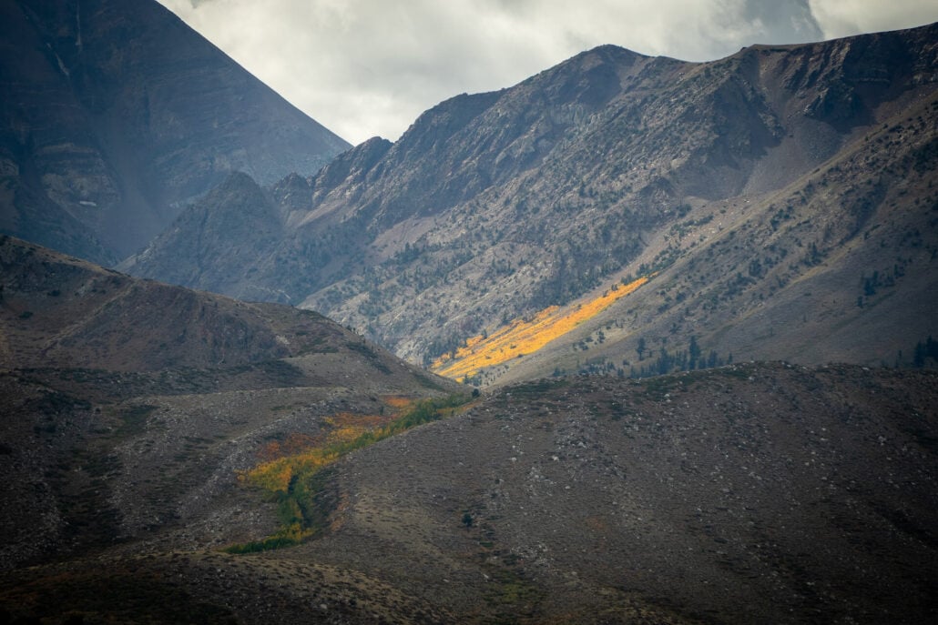 9 29 25 fallcolors sherwincreek kimespinosa 002