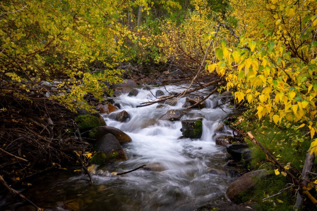 9 30 25 fallcolors mcgeecreek kimespinosa 014
